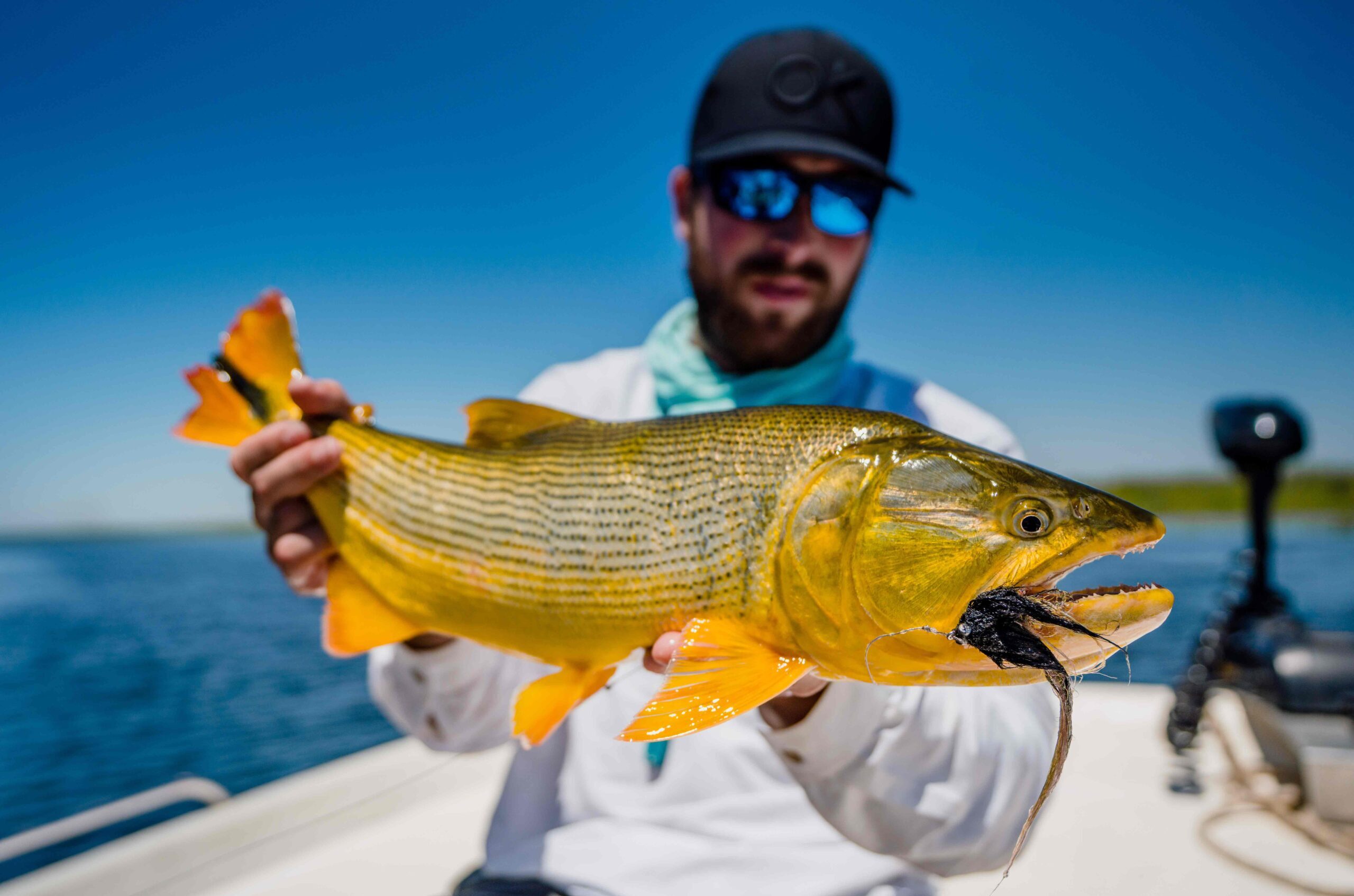 golden dorado dorado golden freshwater dorado fishing for golden dorado golden dorado fish golden dorado fly fishing golden dorado argentina argentina dorado fish dorado fish argentina dorado fish freshwater golden dorado for sale argentina golden dorado fishing fish golden dorado golden dorado fish argentina argentina dorado dorado argentina dorado fly fishing golden dorado fishing trips dorado fly dorado on the fly dorado river fish golden dorado river cruiser dorado argentina fish golden dorado fish for sale golden dorado fishing buenos aires golden dorado size golden el dorado fish best dorado fishing in argentina dorado fishing in buenos aires dorado fly fishing argentina dorado fly fishing in argentina fly fishing for dorado in argentina golden dorado argentina fishing golden dorado cruiser golden dorado fish price golden dorado fly fishing argentina patagonia golden dorado